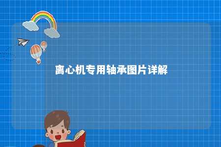 离心机专用轴承图片详解 